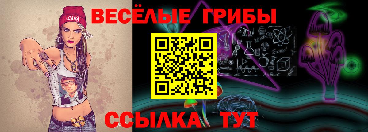 Псилоцибиновые грибы Psilocybe  Вход с VPN  Пугачёв  Галлюциногенные грибы Psilocybe 